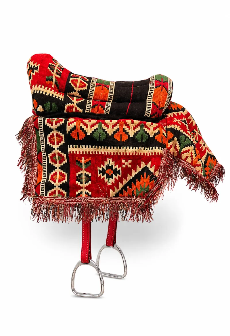 مرشحة خيل 