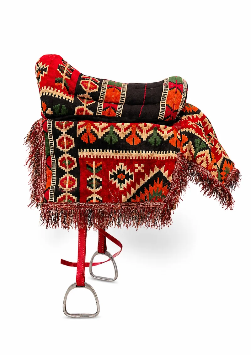 مرشحة خيل 